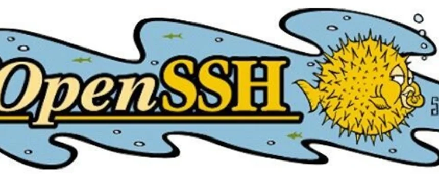 نکاتی برای امن کردن برنامه OpenSSH