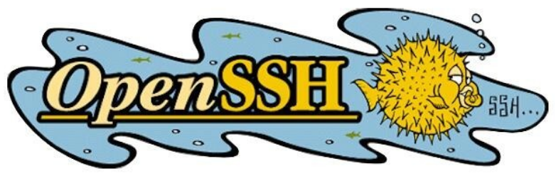 نکاتی برای امن کردن برنامه OpenSSH